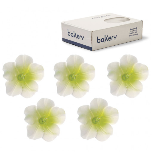 Dekorcukor - Fehér-zöld azálea R 4 cm, 12 db
