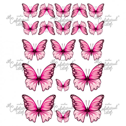 Printed Sugar Paste Butterflies Model 3 Pink, 19 Decorations Ø 3.5 - 8 cm, A4 - Confectioner Istet