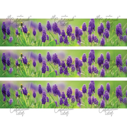 Printed Sugar Paste Flowers Model 2 - 3 Side Decorations Cake 6.5 x 29 cm, A4 - Confectioner Istet