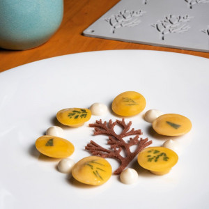Силиконова форма Gourmand Branches 7,8 x 4,8 x H 0,2 cm, 10 кухини - Img 4