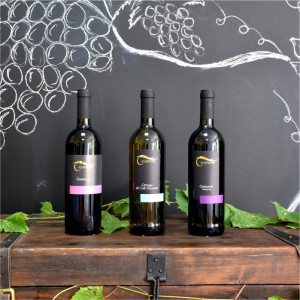 Bor Casanova Gutturnio Superiore Vörös Demisec - Cantine Ceci - 0.75 L - Img 3