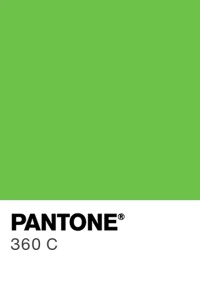 Ehető zöld slime, Pantone 360 C, 100 g - Img 2