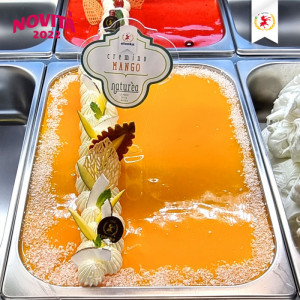 Elenka 100% Natural Mango Puree, 1 kg - Img 2