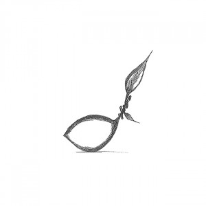 Lamaie/Lime 3D, Ø5.3xH7cm - Силиконова форма Monoportii Grolet, 8 кухини - Img 4