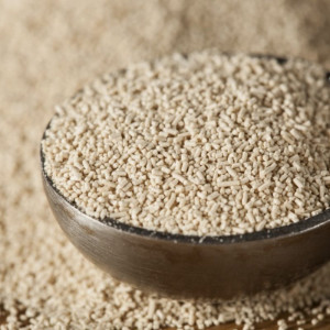 Pakmaya Instant Yeast 10 gr - Img 2