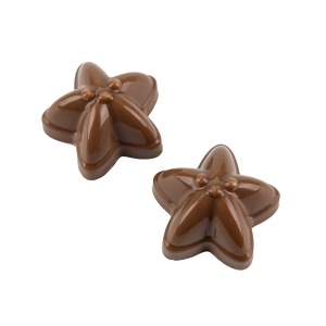 Polikarbonát forma 20 Praliné homokos tengeri csillag homokos, 3,45 x 3,3 x H 2 cm, 9,5 gr. - Img 3