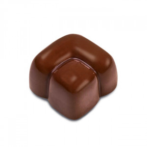 Polycarbonate mould Antonio Bachour Range - 21 Praline Chocolate Pralines - Img 2