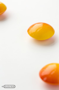 Polycarbonate mould Frank Haasnoot Chocolate Praline, 21 Cavities, Ø 3.5 x H 0.9 cm, 6 gr - Img 2