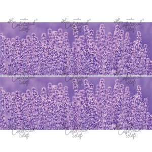 Printed Sugar Paste Flowers Model 5 - 2 Side Decorations Cake 10 x 28 cm, A4 - Confectioner Istet - Img 1
