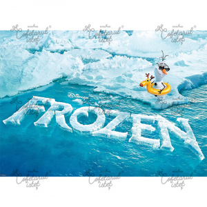 Printed waffle Frozen Model 5, A4 - Confectioner Istet