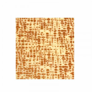 Set 30 Folii Transfer Decor Ciocolata cu Lapte si Alba, 34 x 26.5 cm