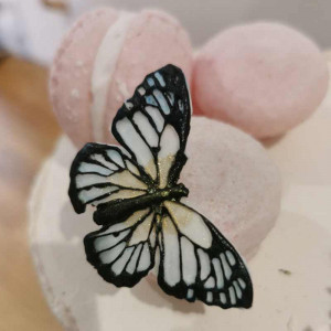 Silicone mould Elegant butterflies 5.4 - 6 - 8.5 x 3.4 - 4 - 5 cm - Img 7