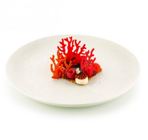 Silicone mould Silikomart NaturaE Coral 2 models 2.5 x 6.3 x H 2 cm - 6.8 x 6.3 x H 2 cm, 1 ml, 21 cavities - Img 1