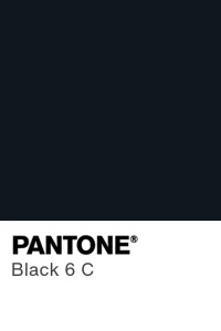 SPRAY VELVET Silk – Хранителен оцветител, черен, Pantone Black 6 C, 400 мл - Img 2
