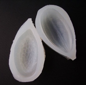 Szilikon forma 3D kakaó gyümölcs gyümölcs, Ø 6,3 és 6,5 cm, 2 db Tárgyak - Img 3