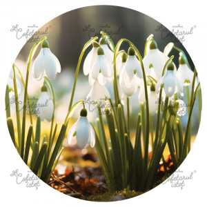 Печатни вафли Spring Model 4, Snowdrops Ø 20 - Istet Confectioner