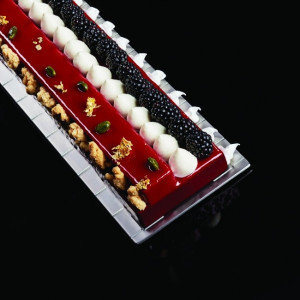 Adaptable, Stainless Steel Frame 57.7x3xH2cm - Img 4