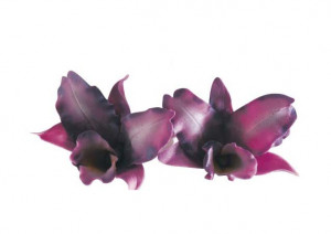 Nagy kínai orchidea - Műanyag vágók Ø 5,5 - 7,5 cm, 3 db-os készletben - Img 2