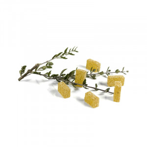 Pectin Pudra Pectin Yellow So Soda, 500 gr - Img 4