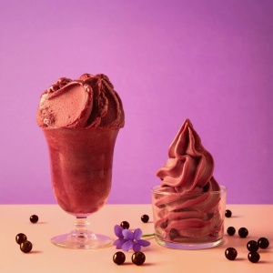 Premix Liquid Soft Ice Cream/Sorbet/Granita Premix PRONTOFRUIT Acai and Blueberry PreGel, 1.8 kg - Img 2