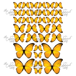 Printed Vase Butterflies Model 2 Orange, 34 Decorations Ø 3.5 - 8.5 cm, A4 - Confectioner Istet