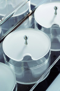 Suport cu 6 Cutii Multiuz Capac Detasabil, Plexiglas Negru/Transparent, 50 x 33 x H 18 cm - Img 2