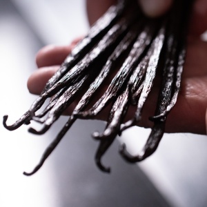 Vanilla Pastai Planifolia Bourbon Madagascar Gourmet Proof, 140 gr - Img 2