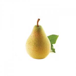 3D Para/Avocado, 6x5.5xx5.5xH7.6cm - Silicon Monoportii mould, 5 cavities - Img 1