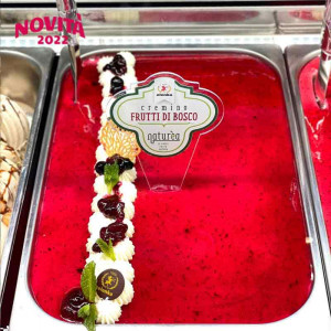 Elenka 100% Natural Berry Puree, 1 kg - Img 2