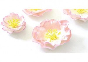 Flower of Maces - Plastic Cutters Ø 4 - 8 cm, Set of 5 pcs - Img 3