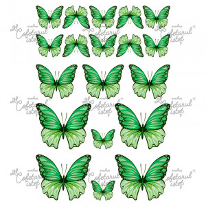 Pasta Zahar imprimata Fluturi Model 3 Verde, 19 Decoruri Ø 3.5 - 8 cm, A4 - Cofetarul Istet