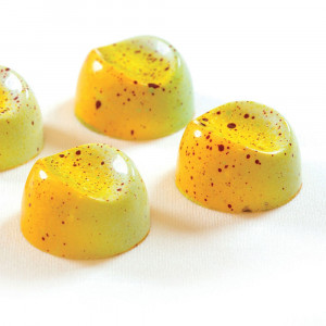 Polycarbonate mould Antonio Bachour Range - 21 Praline Chocolate Pralines - Img 1