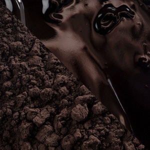 Alkalizált kakaó 10–12% Botanical Noir Intense Barry Callebaut, 1 kg - Img 2