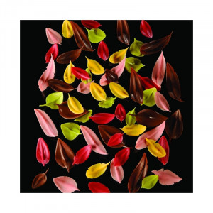 Decor Chocolate Decor Шпатула от неръждаема стомана - шоколадови люспи, 10x2,4 cm - Img 6