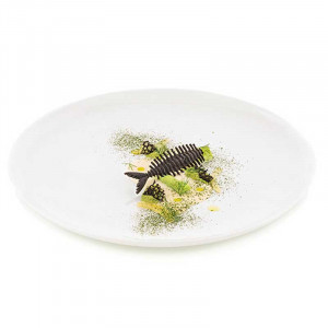 Forma Silicon Silikomart NaturaE Peste 10.45 x 3.54 x H 0.4 cm, 4 ml, 16 cavitati - Img 3