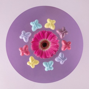 Polycarbonate mould 24 Butterfly Pralines, 3.05 x 3.45 x H 1.4 cm, 9 gr - Img 2