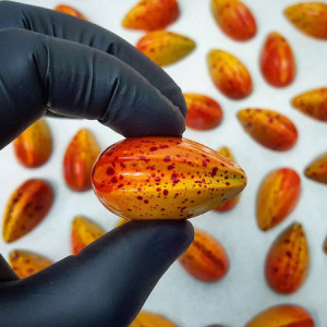 Polycarbonate mould Antonio Bachour Range - 21 Praline Chocolate Pralines - Img 2