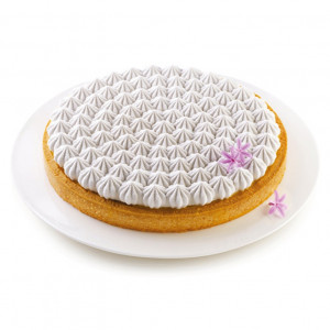 Set Tarte Meringue Ø 25 cm, 1 Rama Microforata + Forma Silicon
