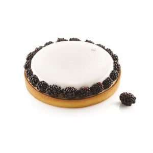 Set Tarte Ø 21 cm, 1 Rama Microforata + Forma Silicon - Img 4