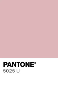SPRAY VELVET Silk- Colorant Alimentar Roz Pantone 5025 U, 400 ml - Img 2