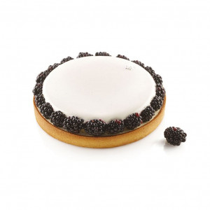 Tarte Set Ø 21 cm, 1 Microperforated Branch + Silicon Tin - Img 4