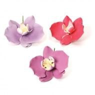Decor Sugar - Orchid R 8 cm, 3 colours, 6 pcs - Img 2