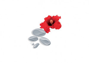 Hibiscus - Decupatoare Plastic cu Extractor Ø 4.8 - 11 cm, Set 4 Buc - Img 2