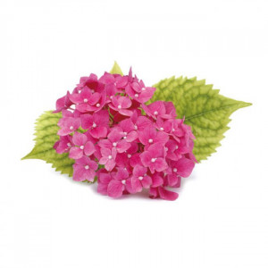 Hortensie Petale - Decupator Inox si Mulaj Silicon Ø 3 cm, Set 3 Buc - Img 2