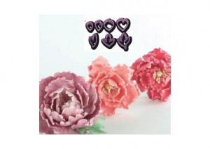 Pe Peony Petals and Leaves - Plastic Cutters Ø 3.5 - 10.5 cm, Set 7 pcs - Img 2