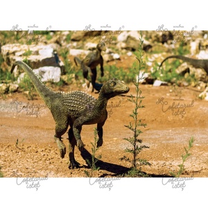 Printed wafer Dinosaurs Model 6, A4 - Istet Confectioner