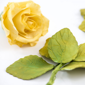 Rose Petals and Sepals - Plastic Cutters Ø 2 - 6 cm, Set of 7 pieces - Img 3