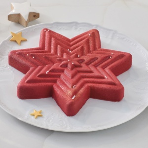 Silicone Star-shaped Mould 22 x 21.5 x H 5 cm