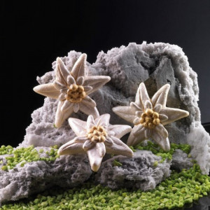 Szilikon forma Colt's Flower Ø 6,7 cm - Img 3
