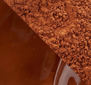 Алкализирано какао 22–24 % Zestina Plein Arome Barry Callebaut, 1 кг - Img 2